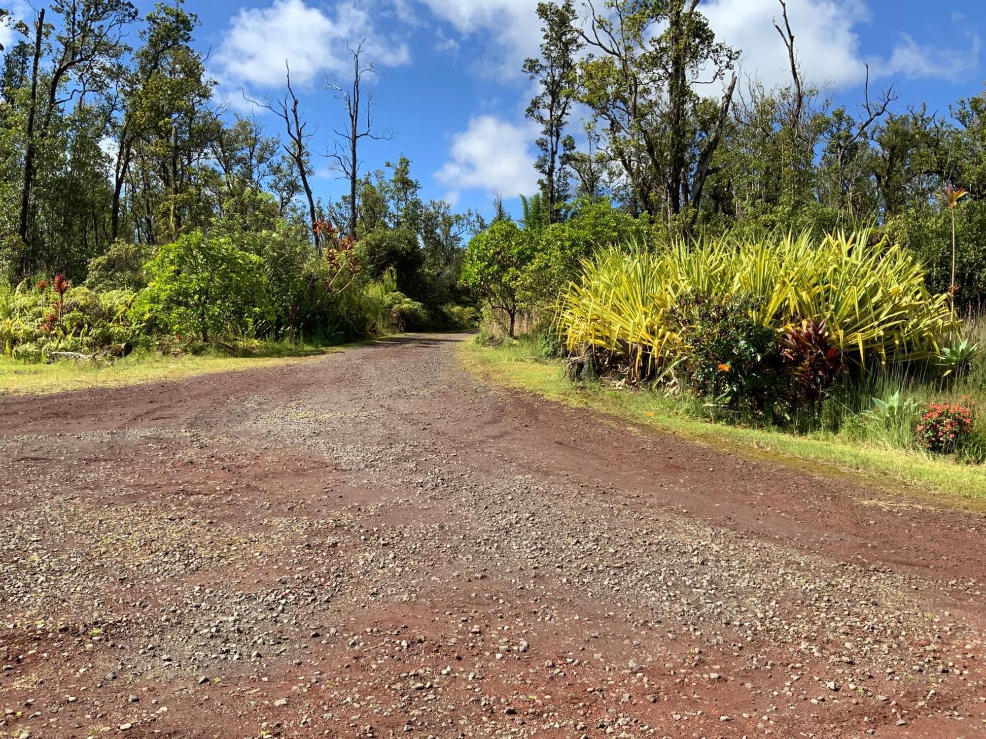 Simply Convenient Tropical Country Studio Mountain View Exterior foto